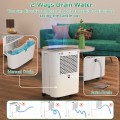 12L/Day Dehumidifier, FRESHDEW Dehumidifiers with Drain Hose, 2.3L Water Tank, Dehumidifier for Home Basement, Laundry Drying, Overflow Protection, 24H Timer, Continuous Drainage